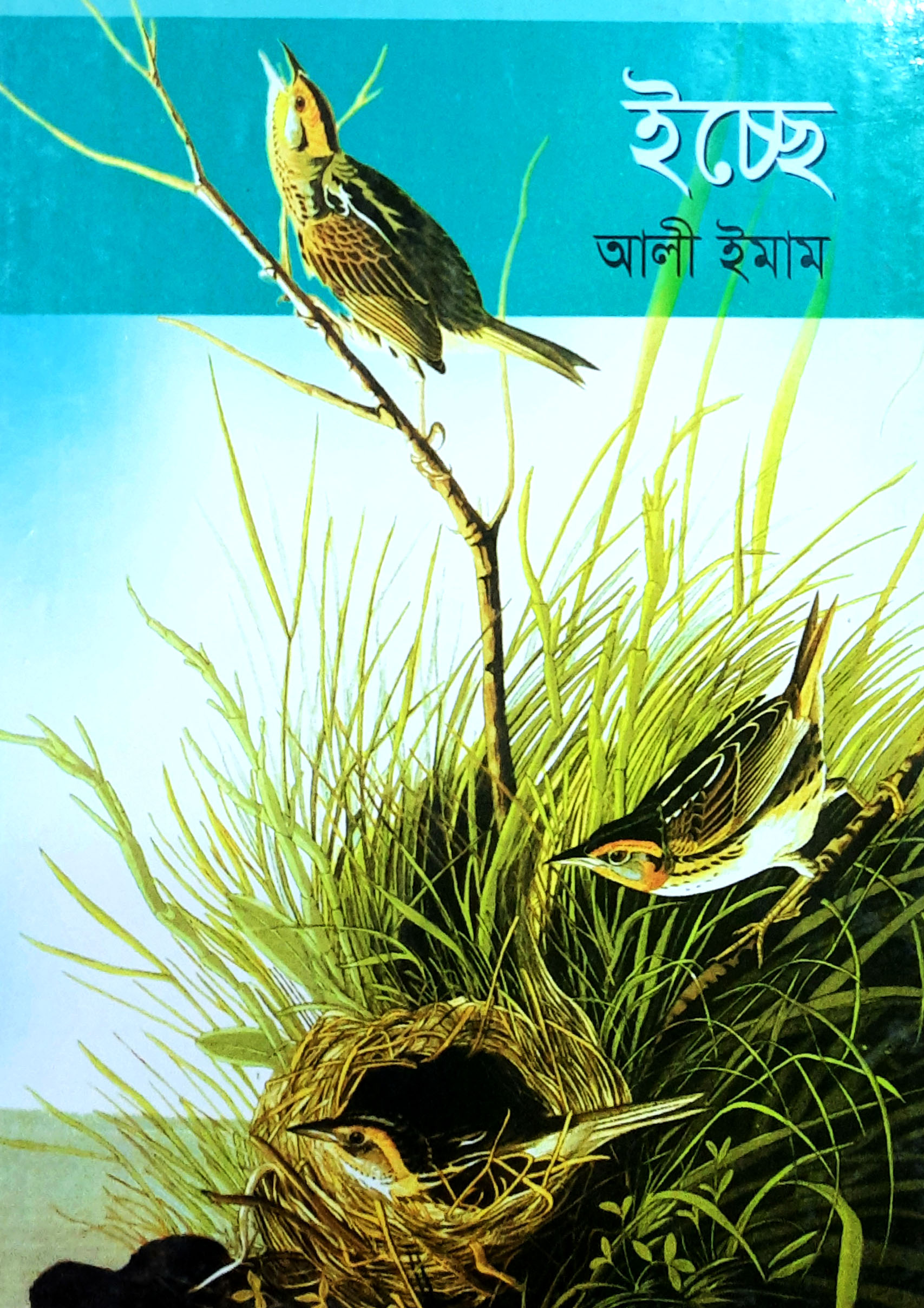 ইচ্ছে