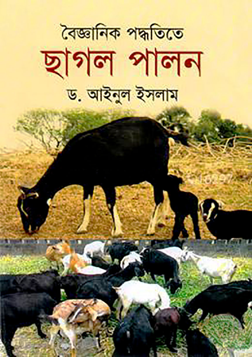 বৈজ্ঞানিক পদ্ধতিতে ছাগল পালন