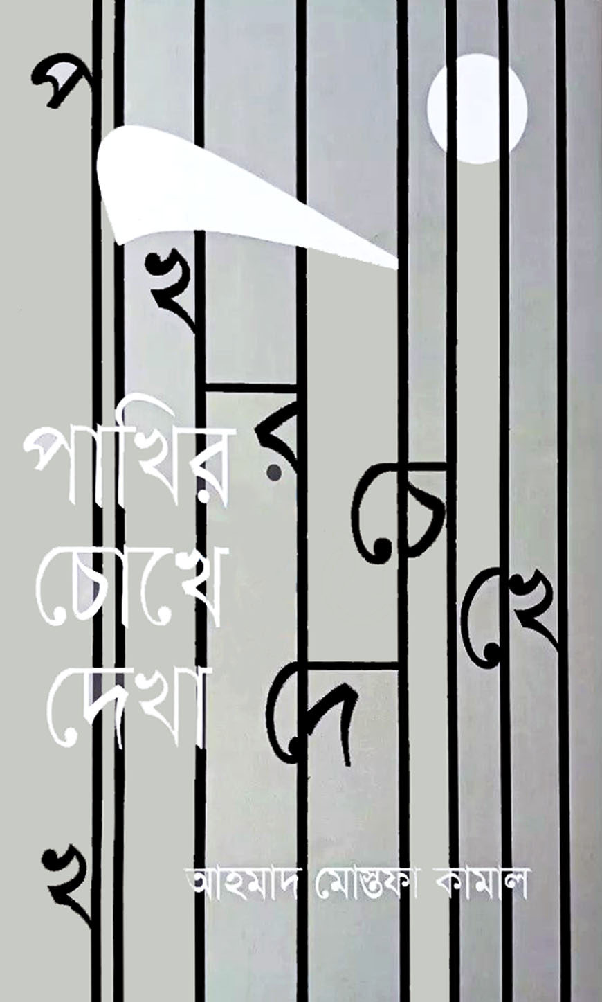 পাখির চোখে দেখা