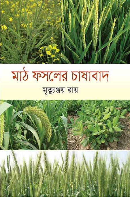 মাঠ ফসলের চাষাবাদ