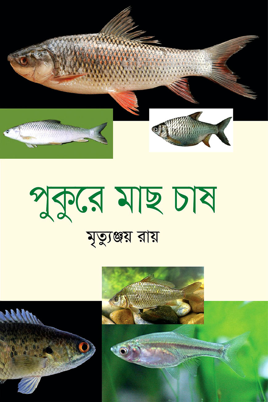 পুকুরে মাছ চাষ