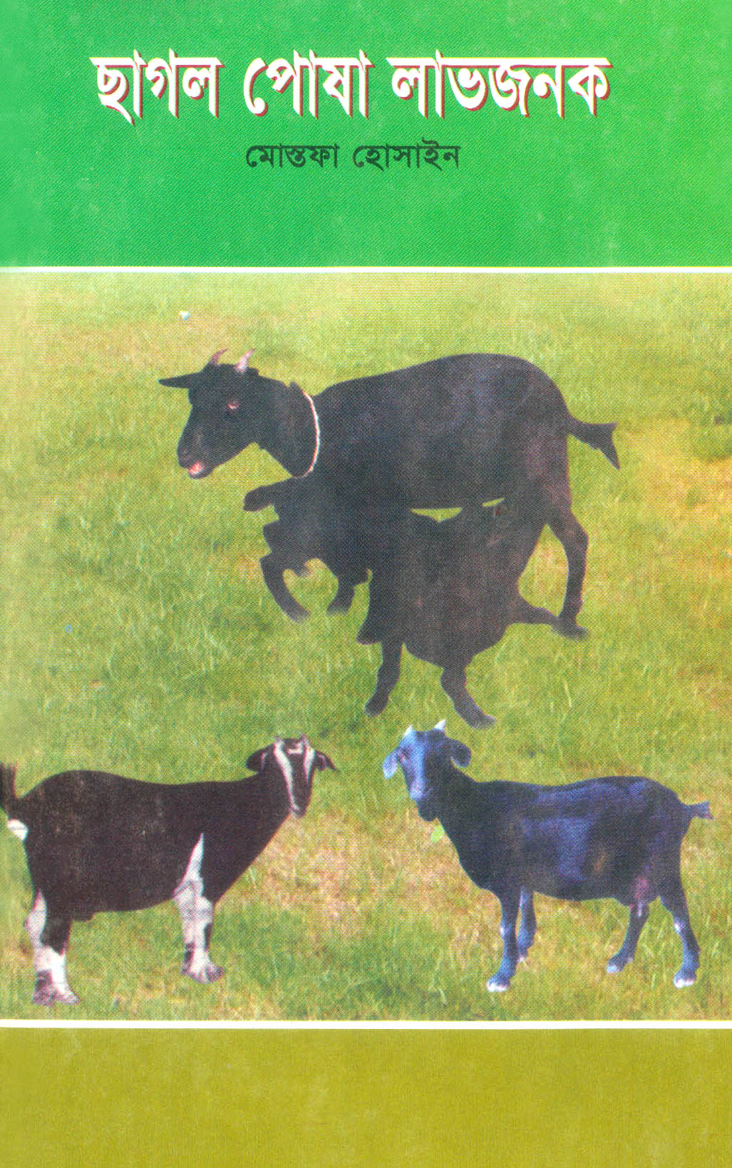 ছাগল পোষা লাভজনক