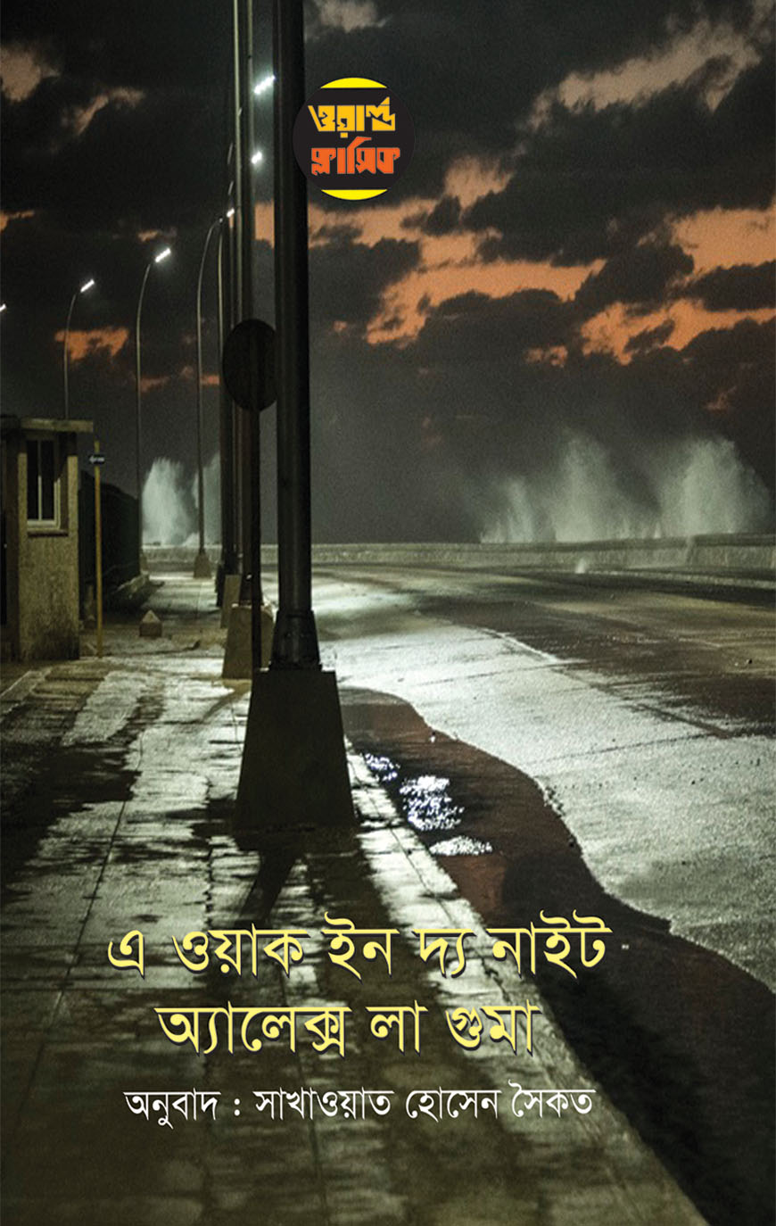 এ ওয়াক ইন দ্য নাইট