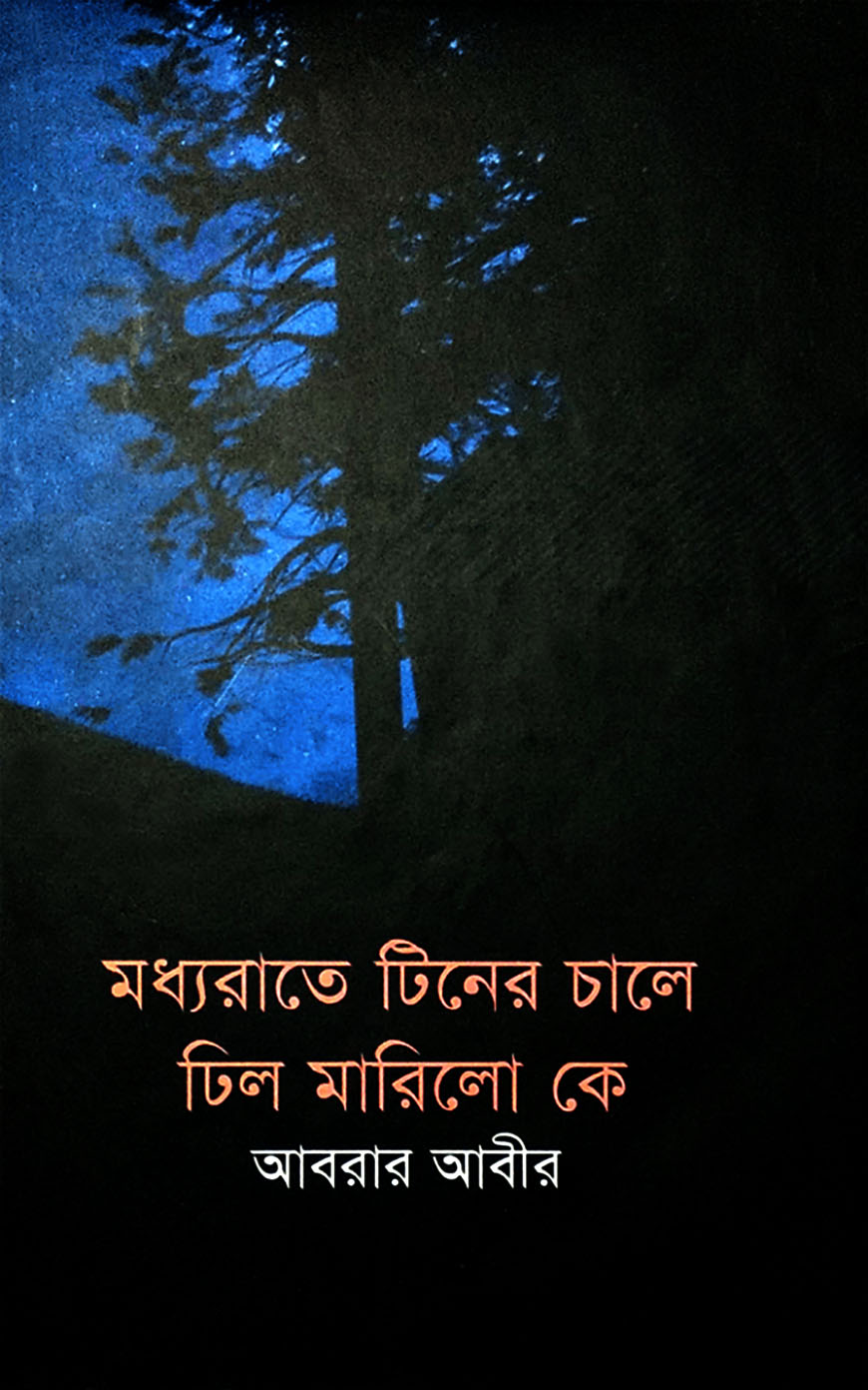মধ্যরাতে টিনের চালে ঢিল মারিলো কে