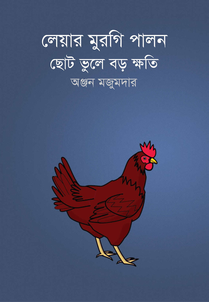 লেয়ার মুরগি পালন : ছোট ভুলে বড় ক্ষতি