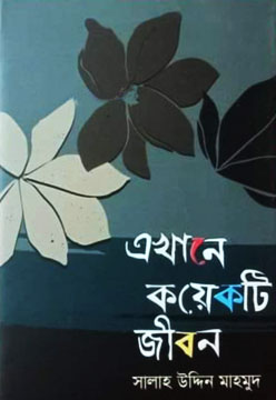 এখানে কয়েকটি জীবন