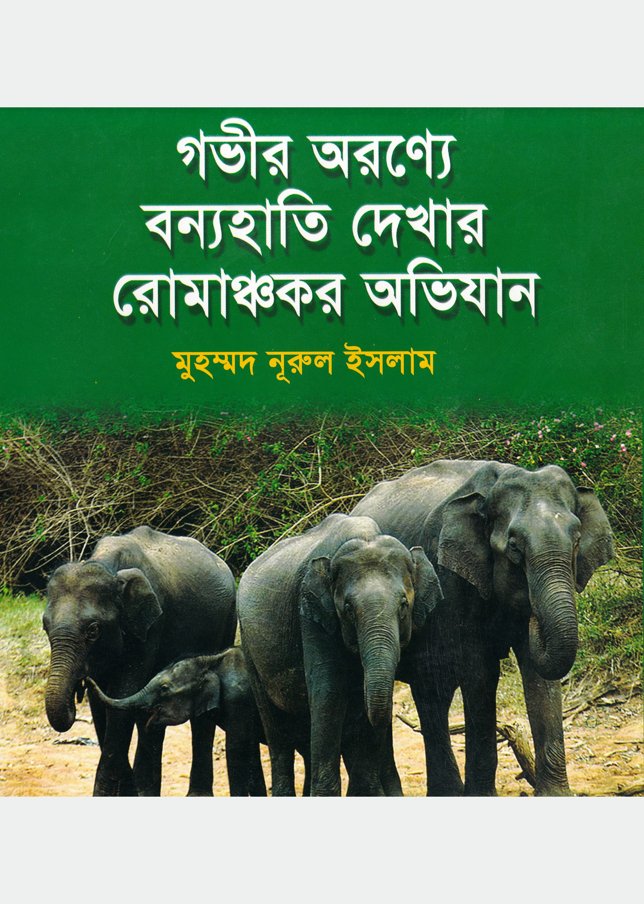 গভীর অরণ্যে বন্যহাতি দেখার রোমাঞ্চকর অভিযান